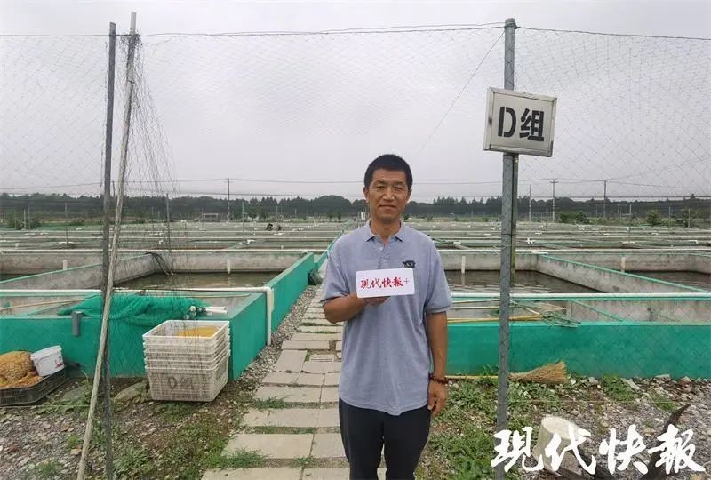 有哪些知名的觀賞魚品種會參加比賽？