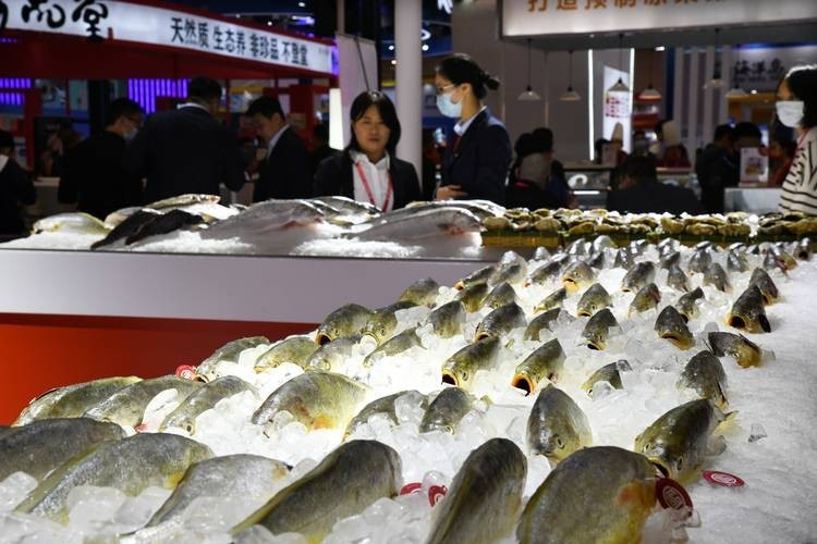 中國國際漁業博覽會 2025長城杯龍魚大賽 第6張 中國國際漁業博覽會 中國國際漁業博覽會 2025長城杯龍魚大賽 第6張