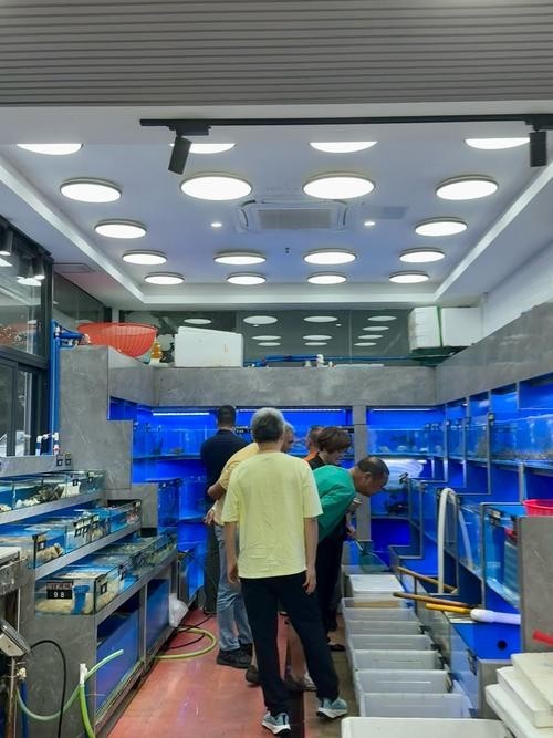 廣州龍魚門店一覽表
