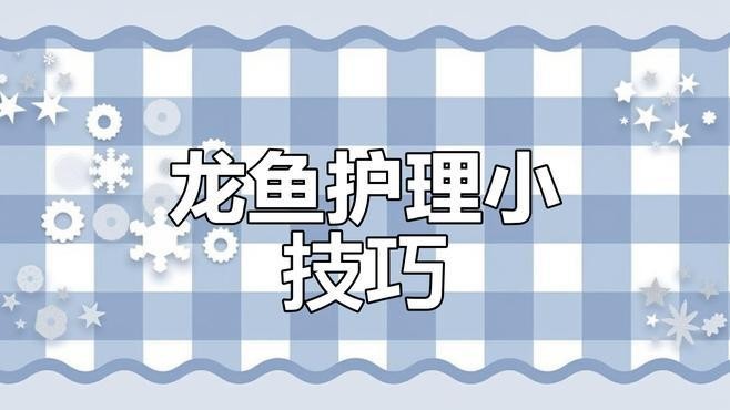 龍魚蒙眼癥如何治療？