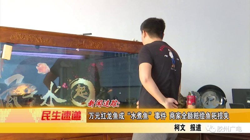 紅龍魚市場(chǎng)存在哪些炒作現(xiàn)象