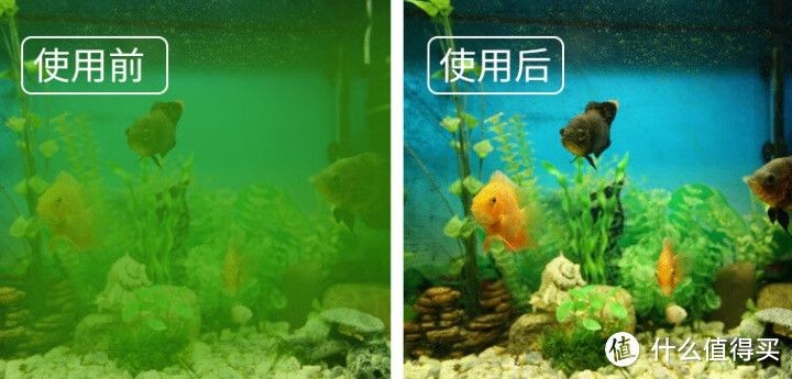 魚缸除藻用除藻劑怎么樣：魚缸除藻劑的使用方法