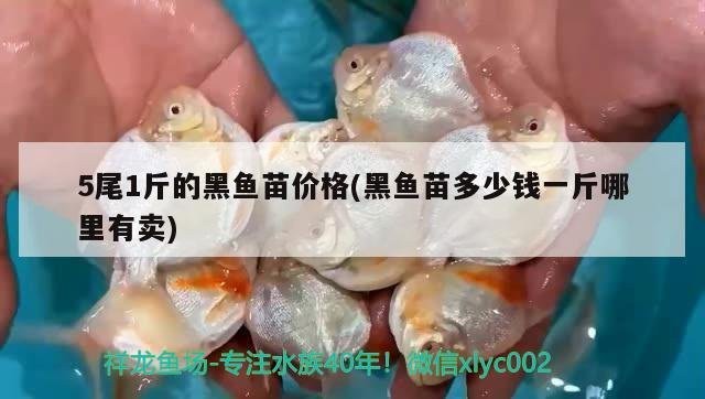 祥龍魚場的價格范圍是多少？