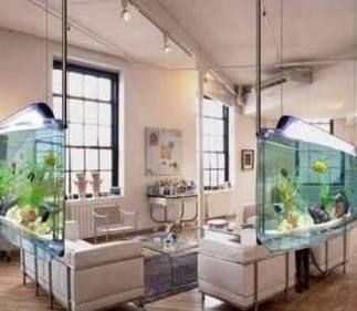 店鋪魚缸適合擺放在什么方位：店鋪魚缸擺放注意事項和技巧-魚缸適合擺放在什么方位