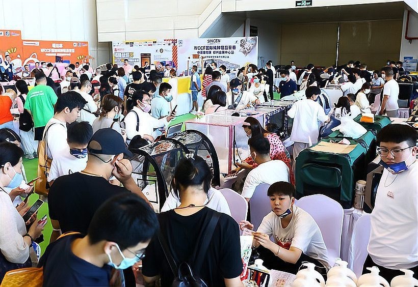 如何獲取寵物展會的門票？