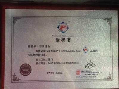 卡普瓦斯之光龍魚騙（卡普瓦斯之光龍魚燈在抖音的熱度）