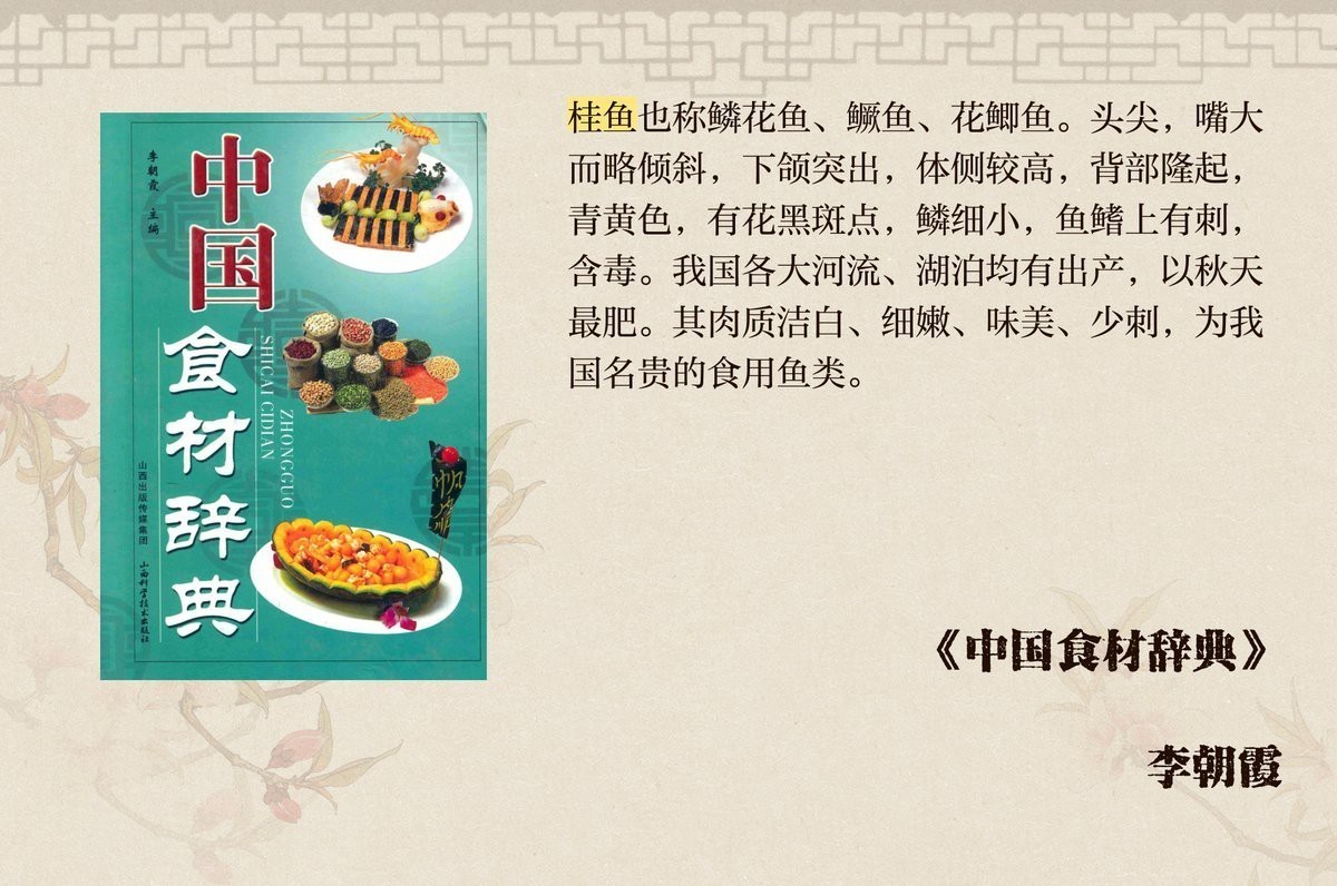 桂魚是什么樣子的圖片