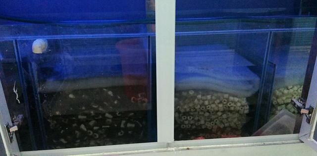 水族過濾材料的選擇：水族箱日常維護與保養