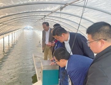 鳳尾魚飼養(yǎng)指南：鳳尾魚的水質(zhì)管理