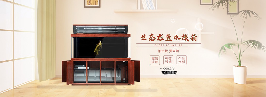 彩蝶魚(yú)缸官方網(wǎng)