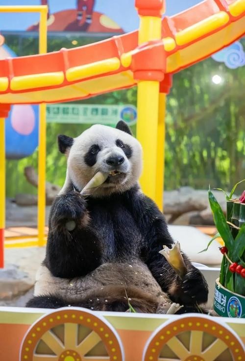 長隆野生動物世界有哪些特色動物？