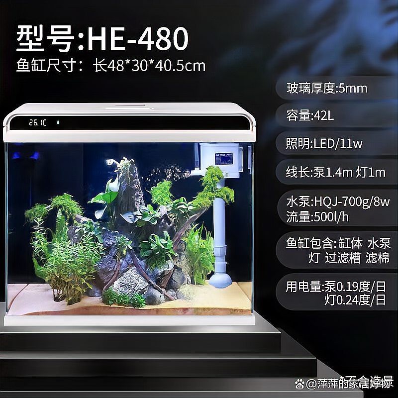 森森和閩江哪個安全