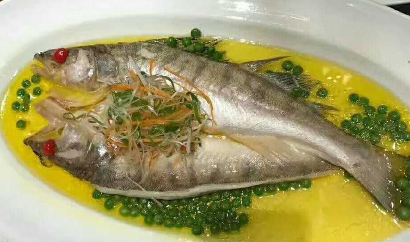 天山龍魚圖片