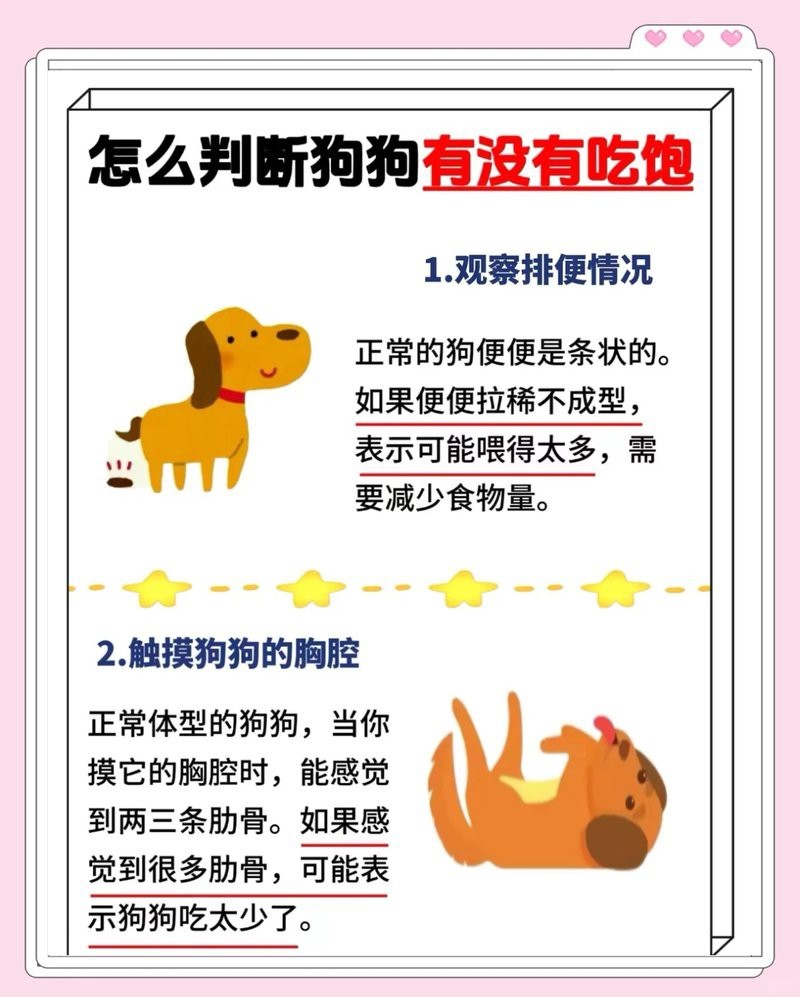 如何判斷紅龍純血是否吃飽？