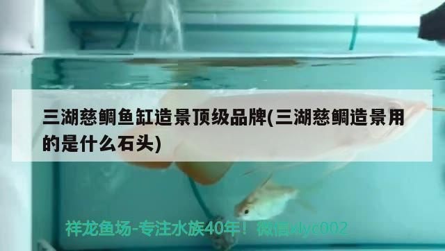 頂級魚缸品牌：水族箱品牌介紹