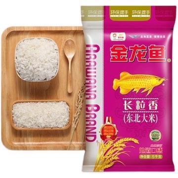 被銀龍魚咬了吃阿莫西林膠囊可以嘛(被銀龍魚咬了需要打狂犬疫苗嗎) 被銀龍魚咬了吃阿莫西林膠囊可以嘛(被銀龍魚咬了需要打狂犬疫苗嗎) 銀龍魚百科