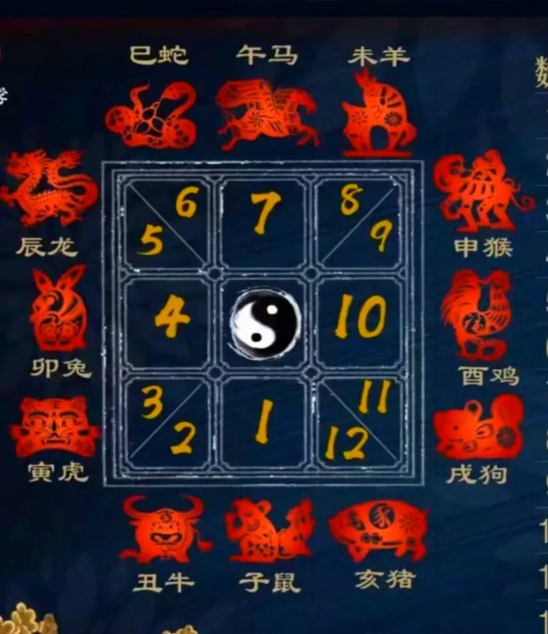 魚代表12生肖的哪一個動物 魚代表12生肖的哪一個動物 龍魚論壇 第3張