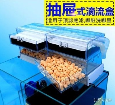 魚缸過濾材料的選擇與作用了解：滴流盒魚缸濾材擺放維持穩(wěn)定水質(zhì)管理的步驟和建議