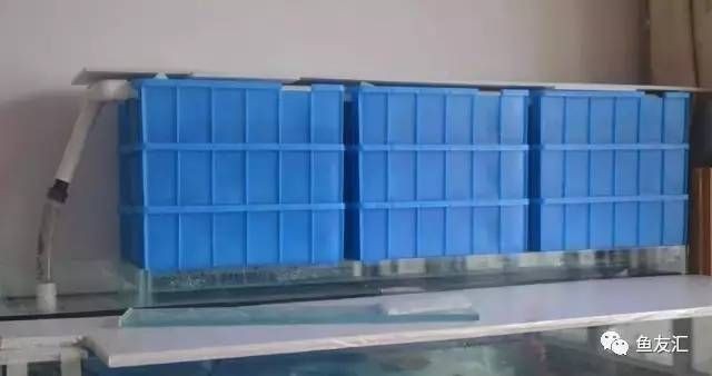 魚缸過濾材料的選擇與作用了解：滴流盒魚缸濾材擺放維持穩(wěn)定水質(zhì)管理的步驟和建議