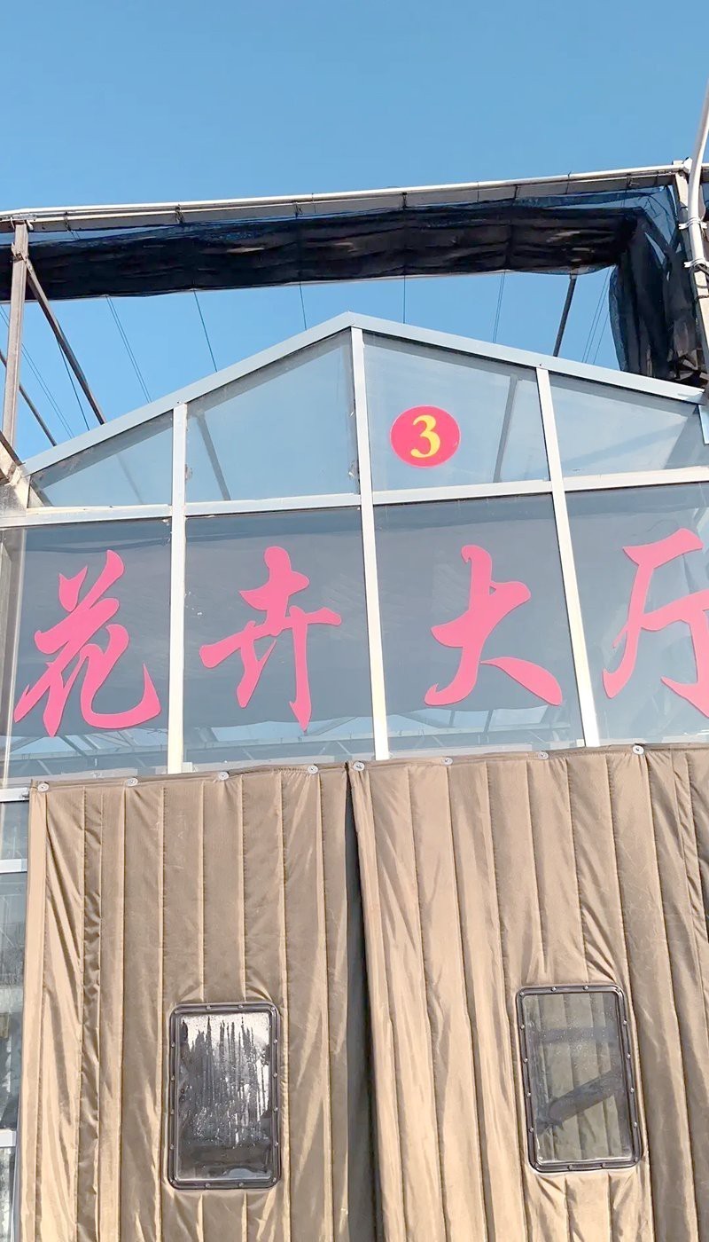 附近的魚缸店