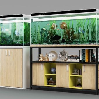 魚缸vr：關(guān)于魚缸vr的相關(guān)信息