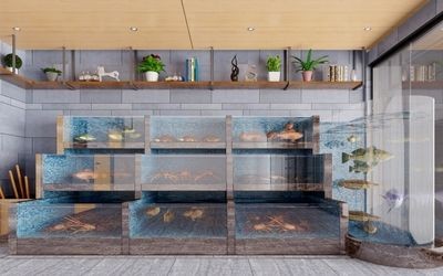 魚缸vr：關(guān)于魚缸vr的相關(guān)信息