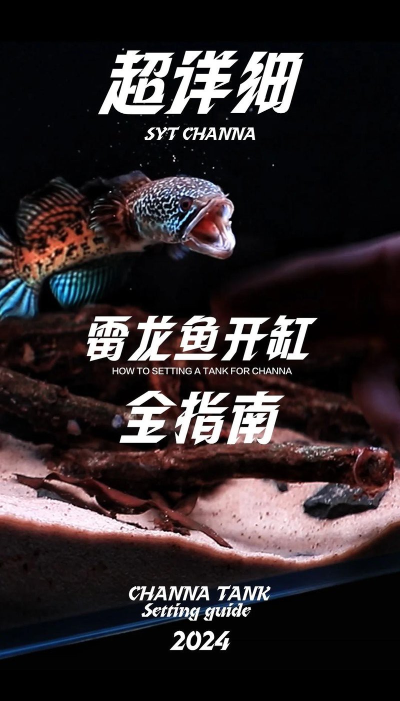 鬼王雷龍魚圖片大全