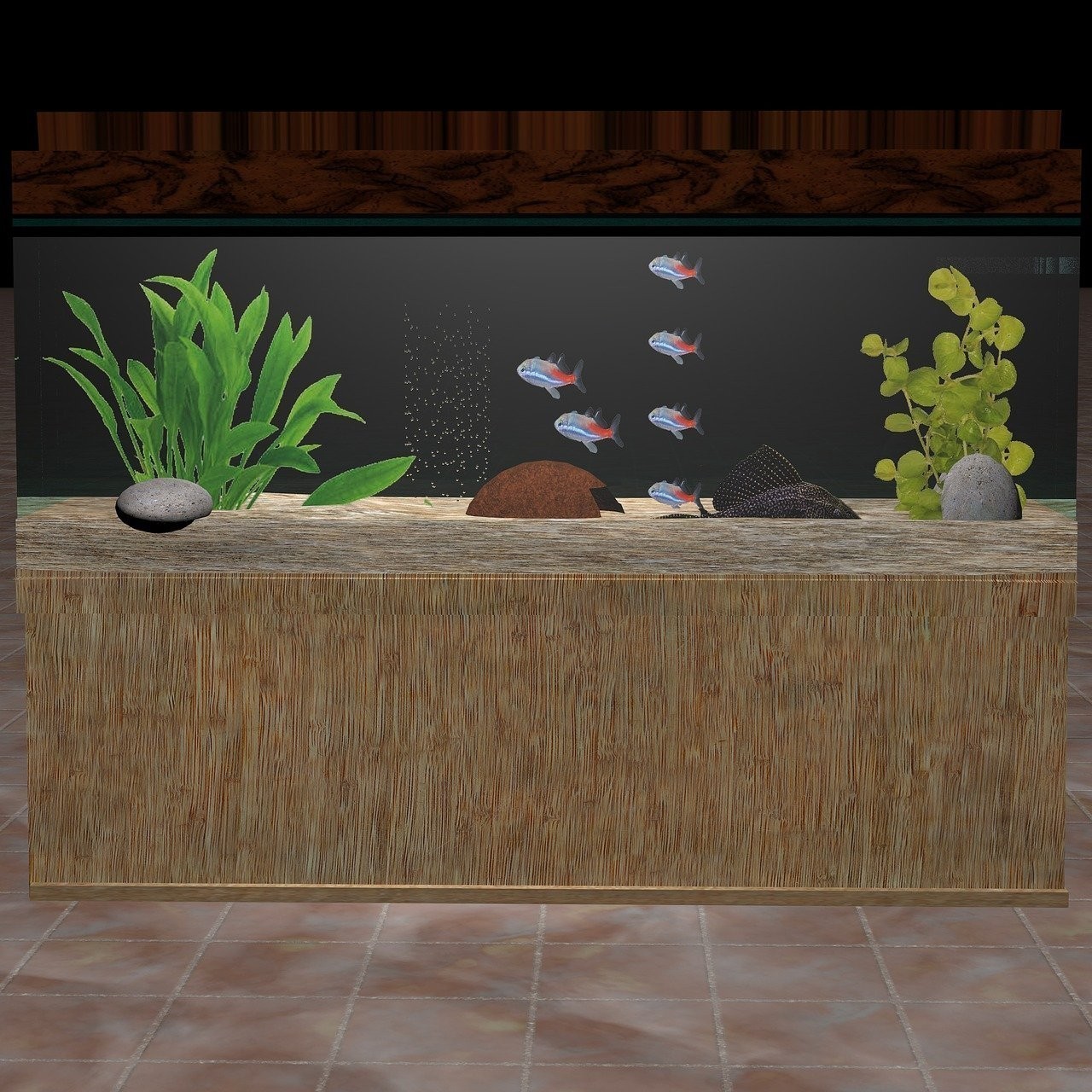 金龍魚銀龍魚的區別是什么（金龍魚和銀龍魚是一個品種嗎）