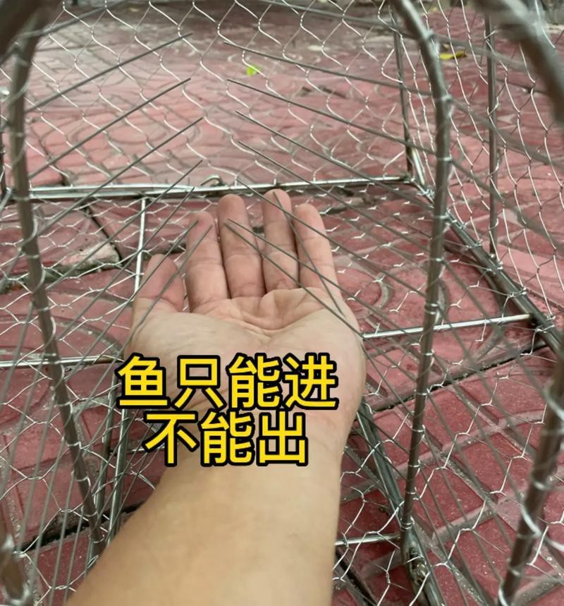 抓魚籠子圖片大全