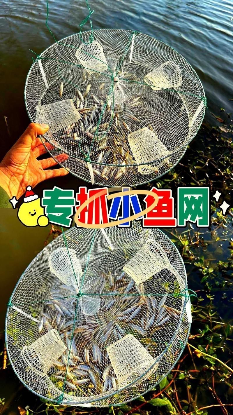 抓魚籠子圖片大全