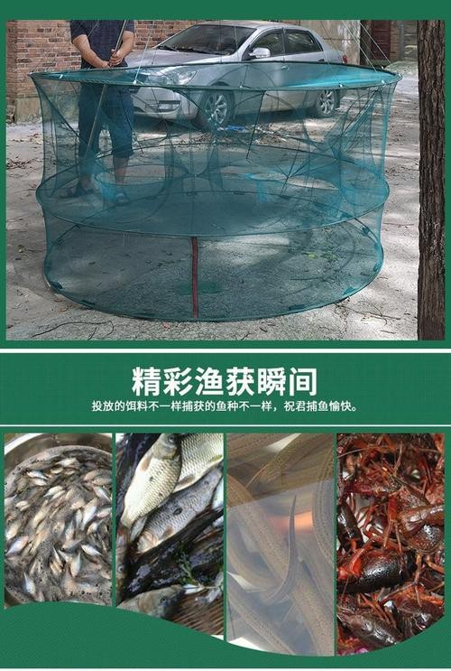 抓魚籠子圖片大全