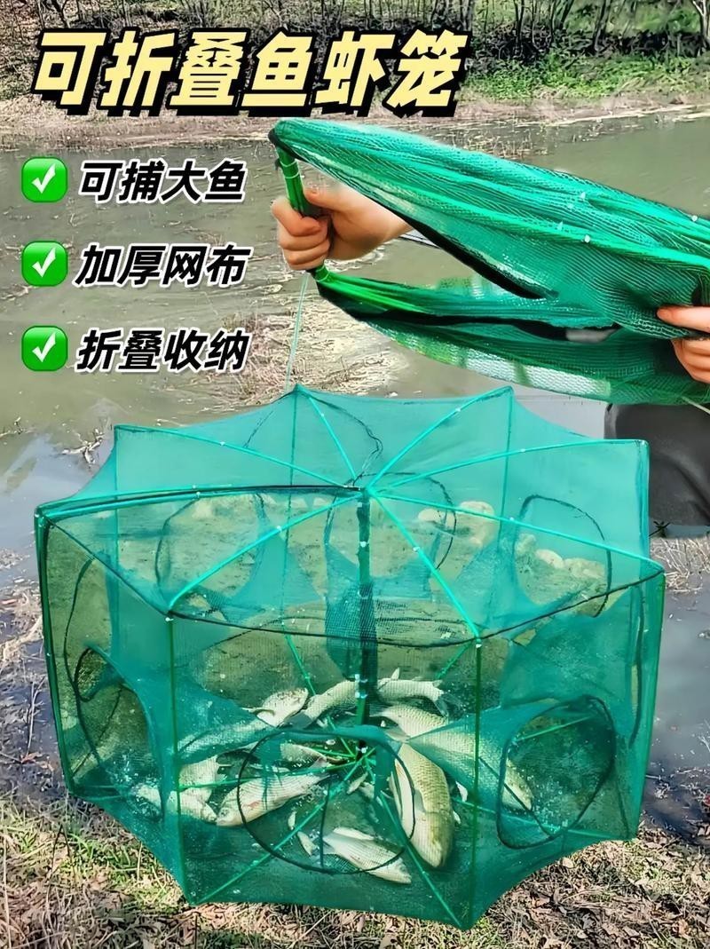 抓魚籠子圖片大全