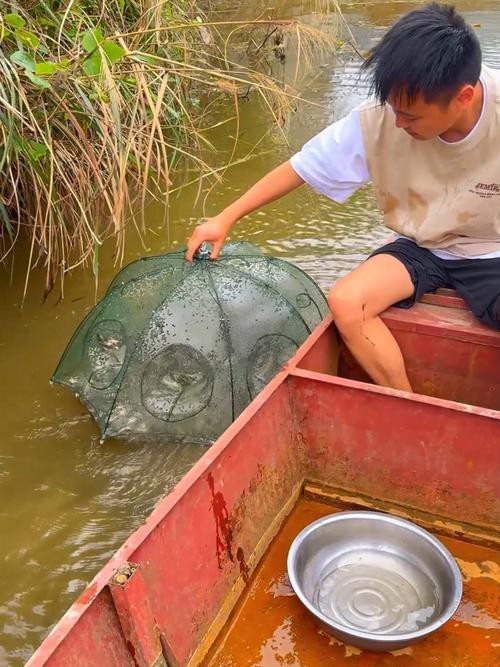 抓魚籠子圖片大全