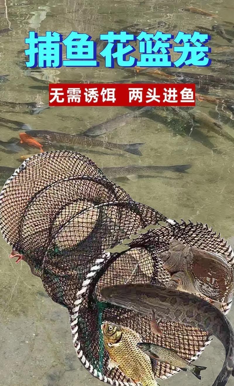 抓魚籠子圖片大全