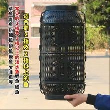 抓魚籠子圖片大全