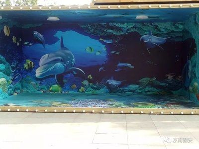 固安水族箱養護指南：固安地區賣魚缸店鋪信息