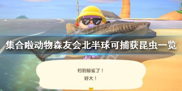 動森黃金河虎有什么用