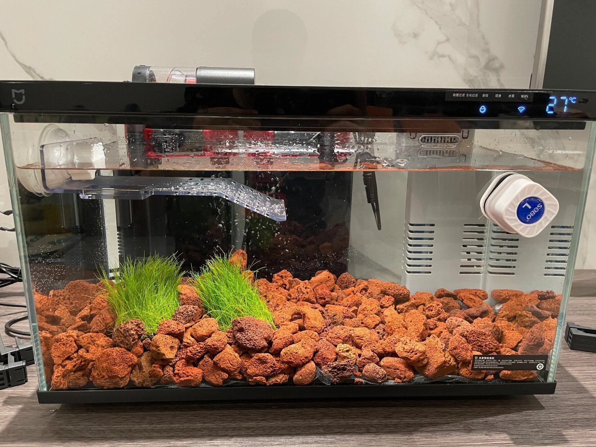 小米魚缸怎么樣：小米魚缸適合養什么魚