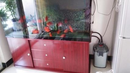 海鹽消毒魚缸用鹽消毒魚缸的作用主要包括以下幾點：如何正確使用海鹽消毒魚缸