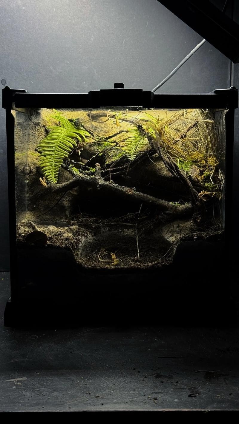 2025年長城杯水族展有哪些創新產品