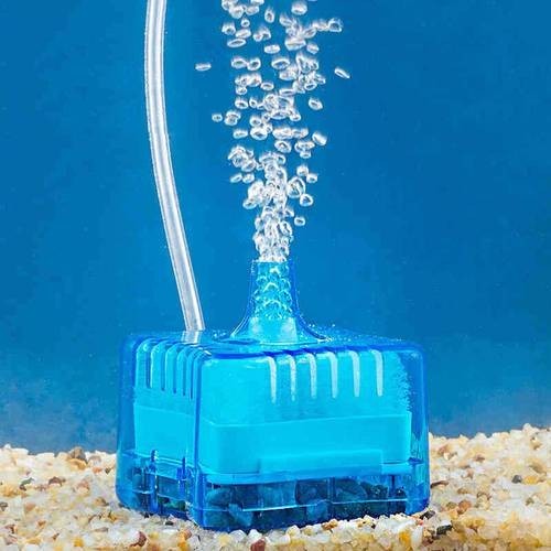 2025年長城杯水族展有哪些創新產品