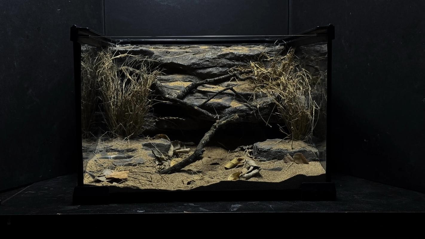 2025年長城杯水族展有哪些創新產品