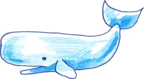 2025年長城杯水族展有哪些創新產品