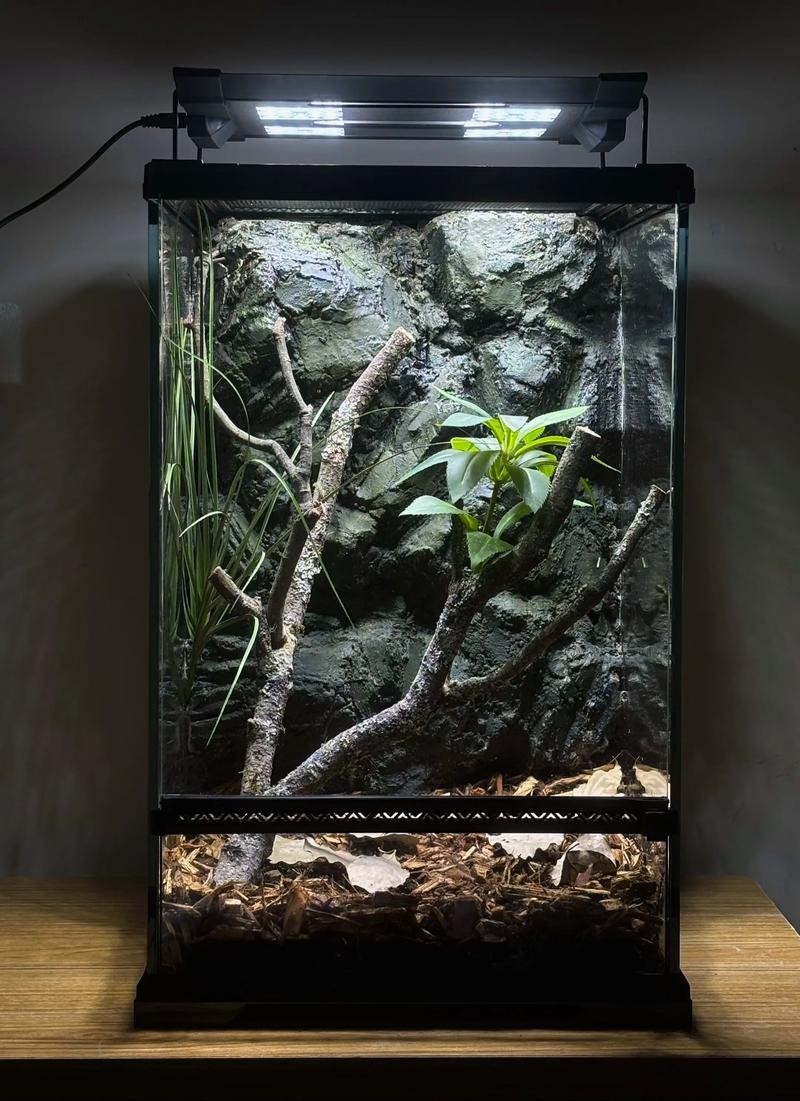 2025年長城杯水族展有哪些創新產品