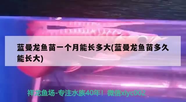 羅莊區(qū)鯨舞門生態(tài)水族店