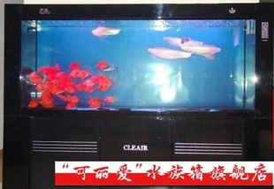 可麗愛底濾魚缸濾材擺放圖