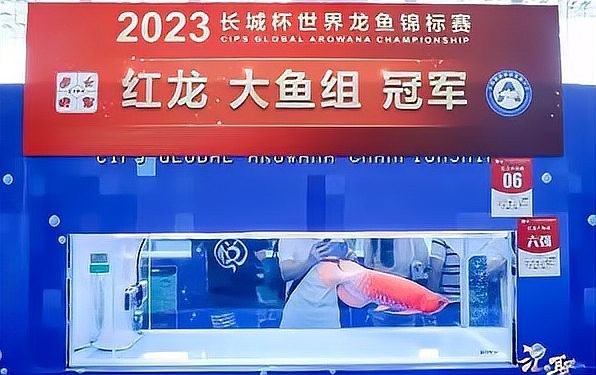 長(zhǎng)城杯龍魚
