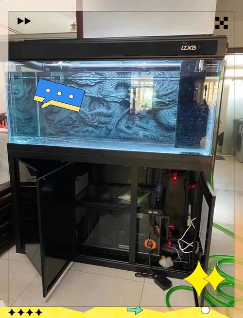 長城杯龍魚大賽有官方推薦的水泵嗎？