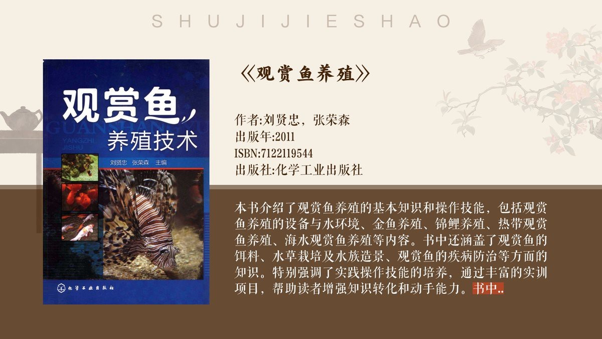 德國三色錦鯉