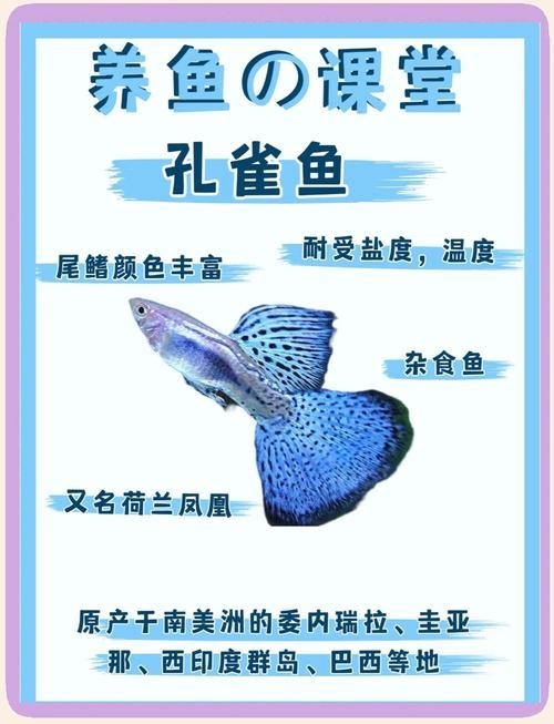 孔雀魚的價格差異大嗎？